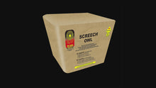 Load and play video in Gallery viewer, Screech Owl
