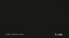 Load and play video in Gallery viewer, Bob&#39;s Holiday Special
