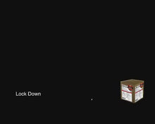 Load and play video in Gallery viewer, Lock Down
